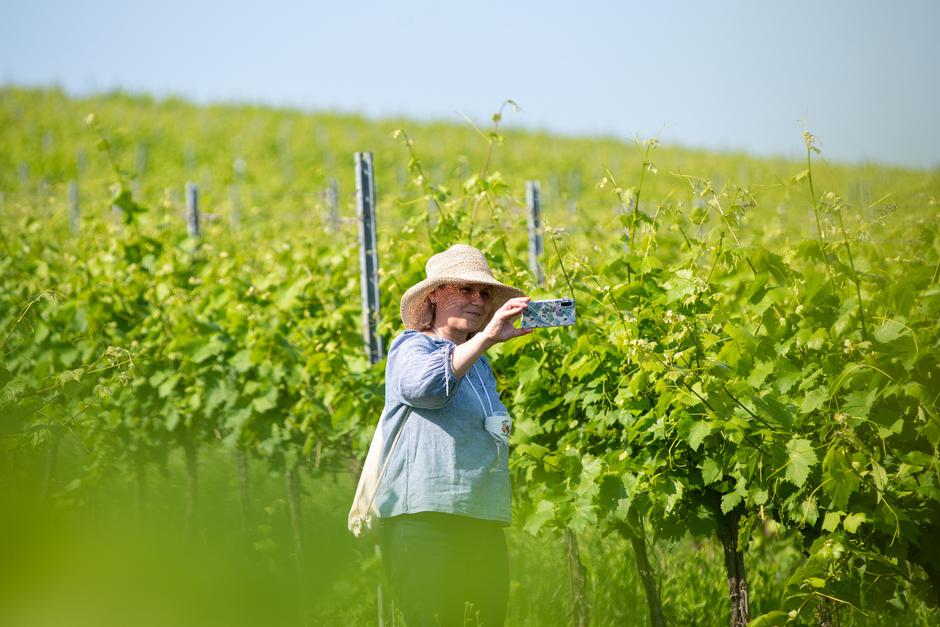 baranja wine and walk | Author: TZ Baranje