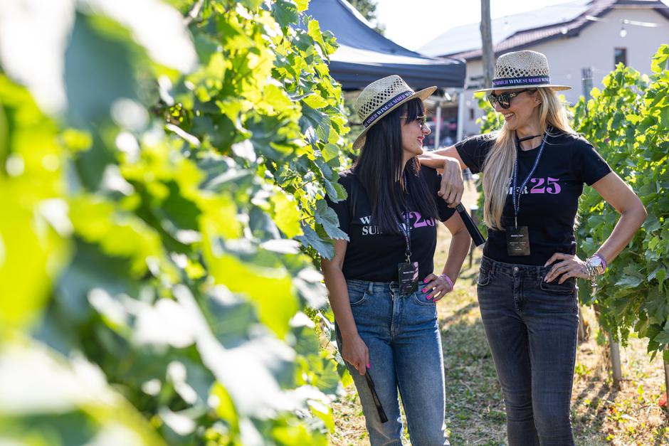 wine summer | Author: Matija Djanješić