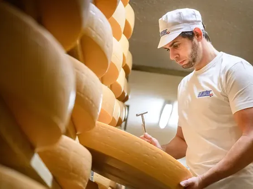 najbolji sir na svijetu, gruyere