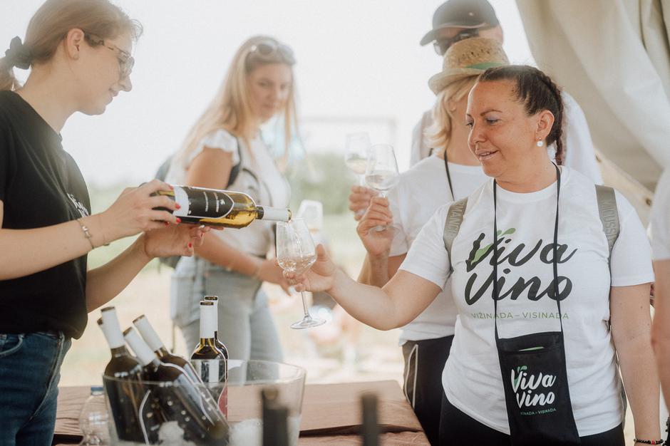 viva vino vižinada, wine&walk | Author: Arhiva TZ Vižinada