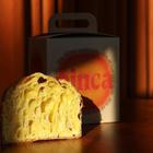 boogie lab, boogie bakery, pinca