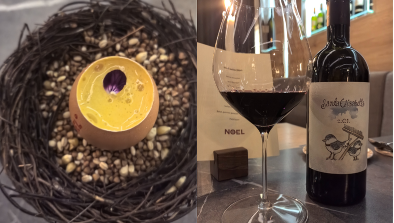 santa elisabetta, noel, benvenuti