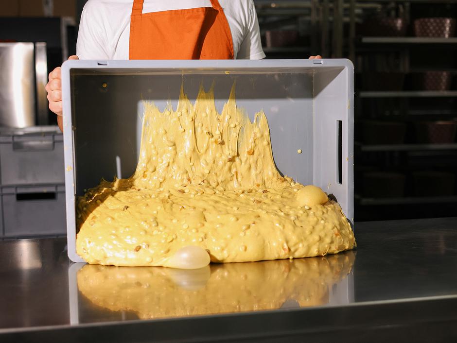 Boogie panettone | Author: Karlo Jelić