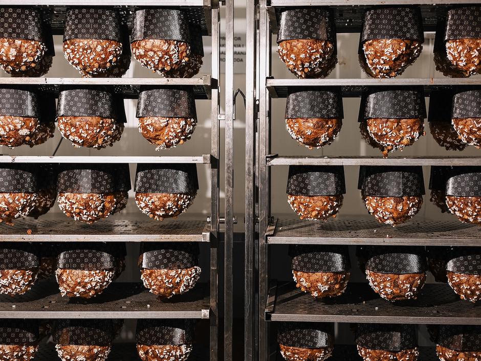 Boogie panettone | Author: Karlo Jelić