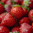 Ovaj jednostavan trik pretvara prosječne jagode u super snack