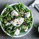 blueberry burrata