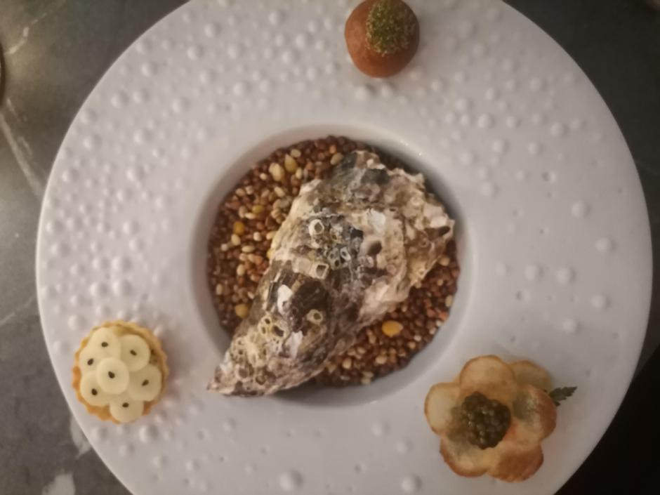 benvenuti, noel, santa elisabetta | Author: Emina Basara