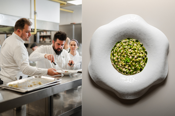 harry's piccolo u spinnakeru