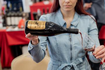 Vino Dalmacije 2025.