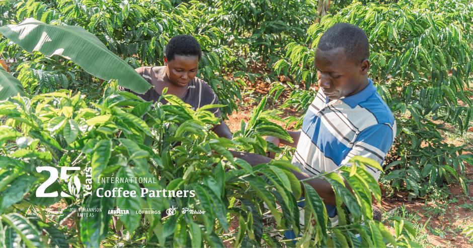 franck, kava | Author: Press