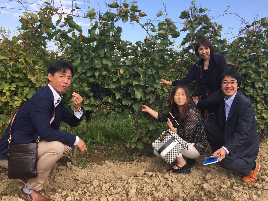 Japan i vina