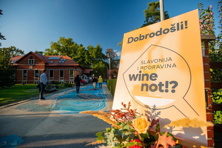 Slavonija i Podravina, wine not | Author: Matija Turkalj