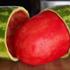 Kako oguliti lubenicu