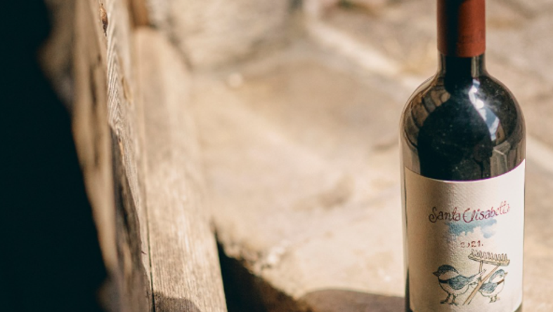 benvenuti santa elisabetta 2021.