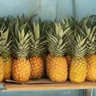 ananas