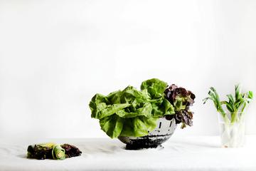 salata, zeleno povrće, lisnato povrće