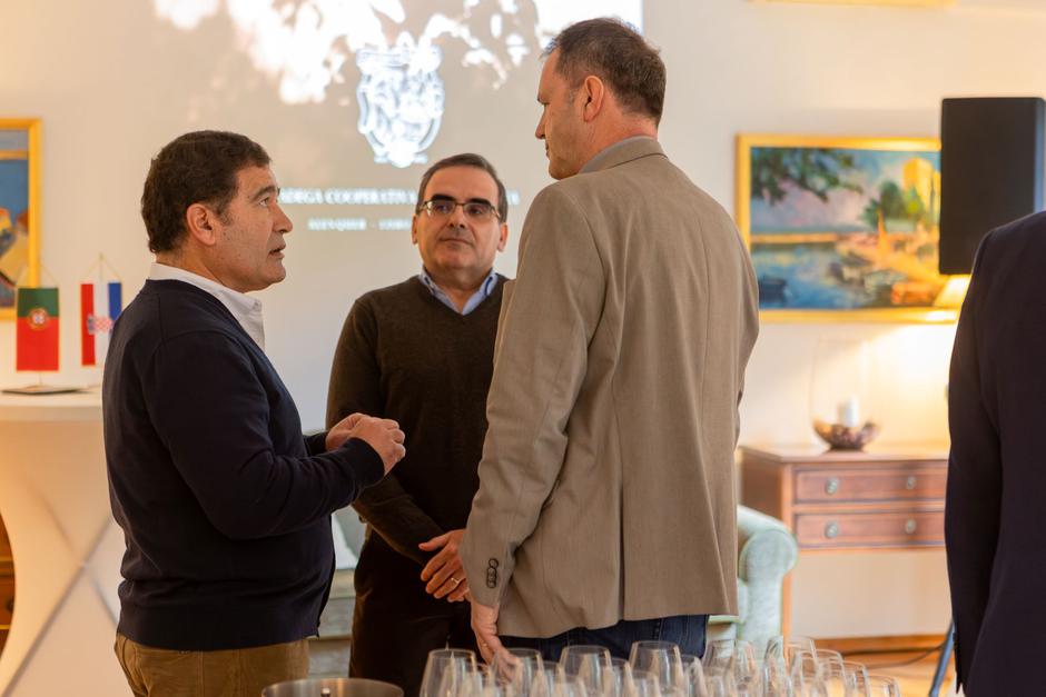 portugalska vina | Author: Cahayabox