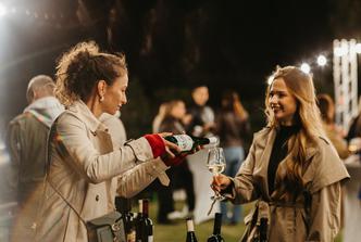 dunav wine festival