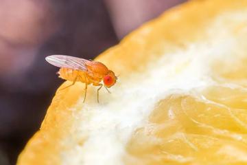 Feed/24Sata-Lifestyle/2026-40/217393519-M.Jpg