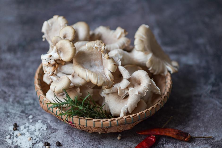 Grey oyster mushroom on basket , fresh raw oyster mushroom with  | Author: Bigc Studio / Vecteezy