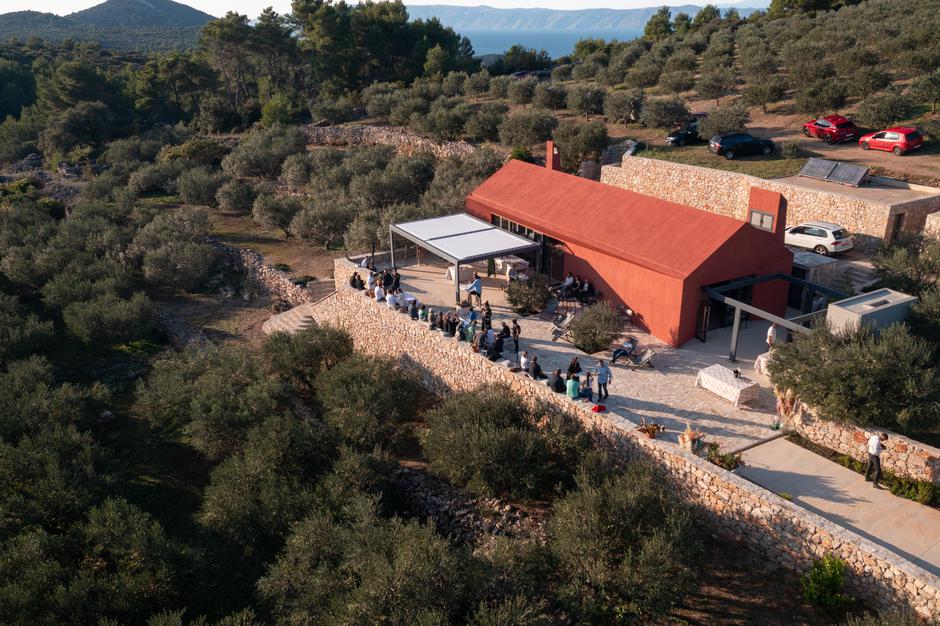 Goodbye Summer, Hvar, maslinovo ulje | Author: Nikola Radovani
