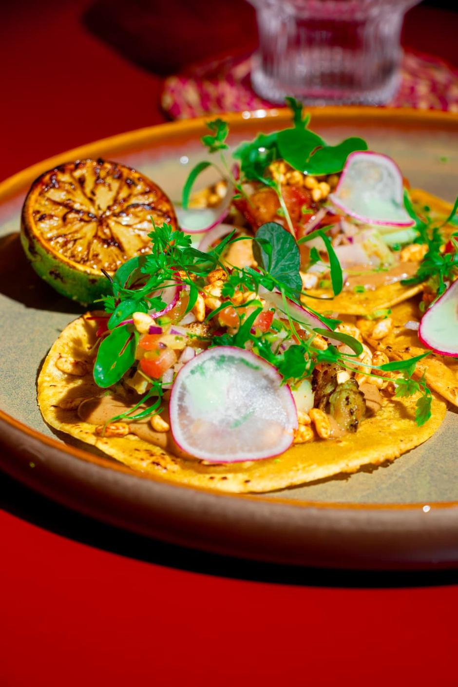 fiesta latina | Author: Press