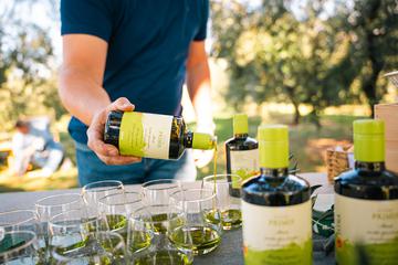 Salvela - Light Komunikacije