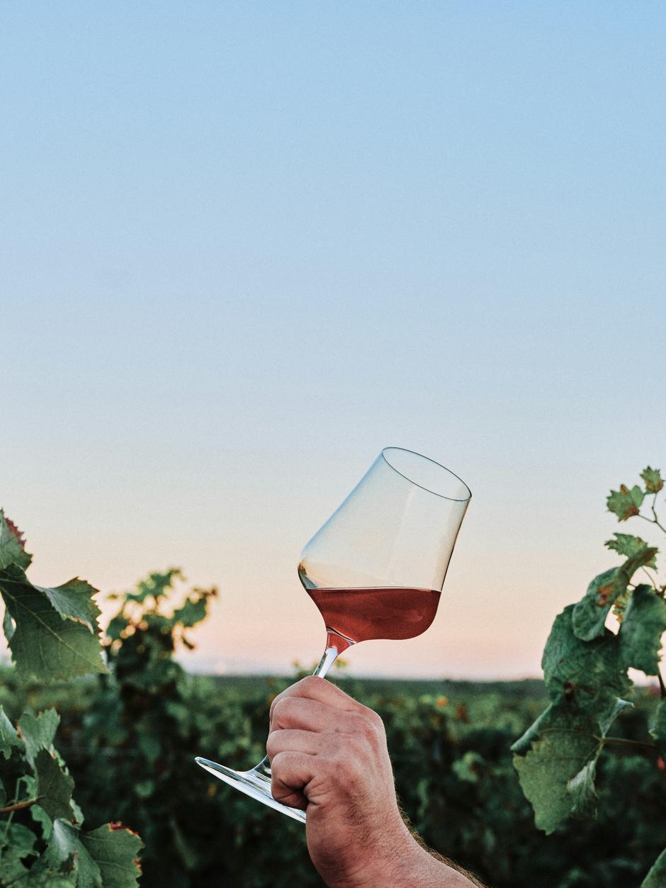 vino | Author: Roberta Sant Anna/Unsplash