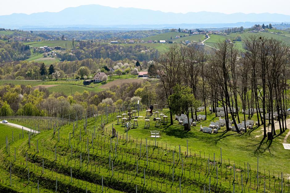 sauvignon, councours mondial de bruxelles | Author: Press