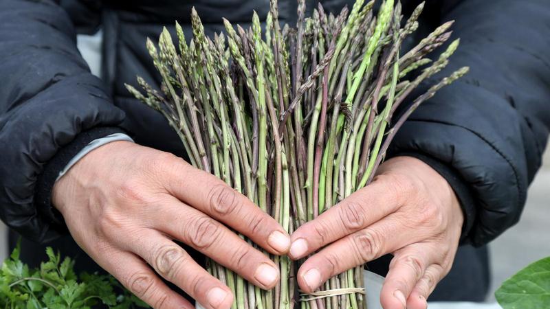 Niknule prve divlje &scaron;paroge, koja je razlika od uzgojenih?