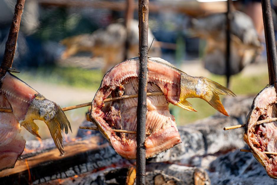 dunav fest, fišijada | Author: Vedran Čuljak