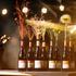 DUNAV WINE FESTIVAL 2026.