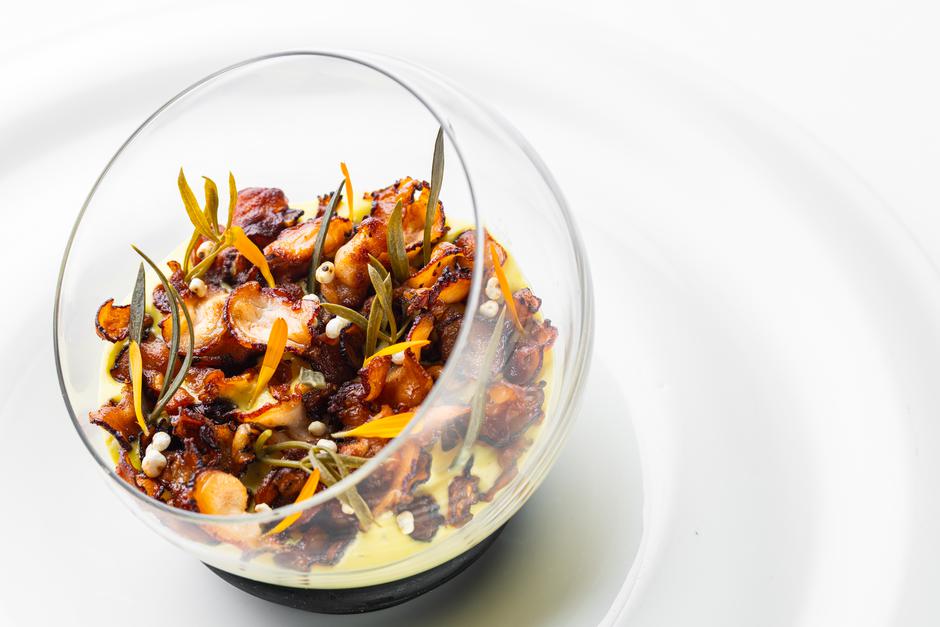 plavi podrum | Author: Matija Djanješić