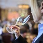 vinistra, en primeur