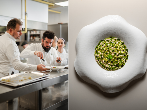 harry's piccolo u spinnakeru