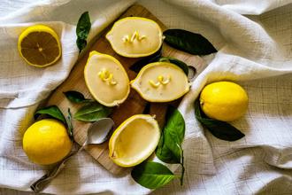 lemon posset