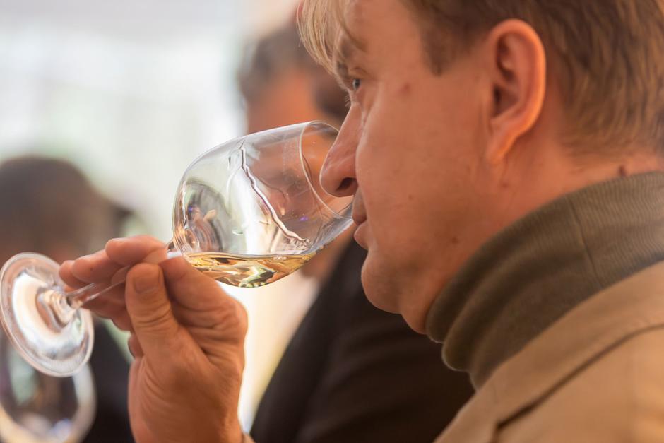 portugalska vina | Author: Cahayabox