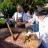 autentica food and wine festival, baška voda