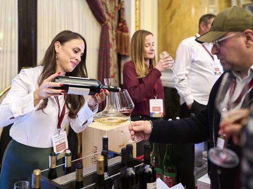 dalmatinske vinske ikone 2025.