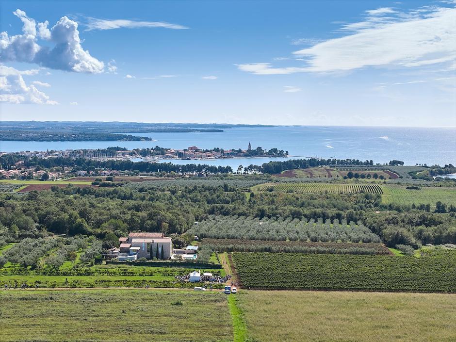 Wine & Walk by the Sea | Author: Merlo De Graia