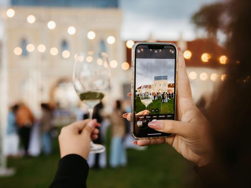 dunav wine festival