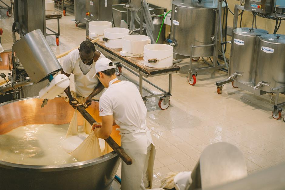 parmigiano reggiano | Author: Caroline Roose/Unsplash