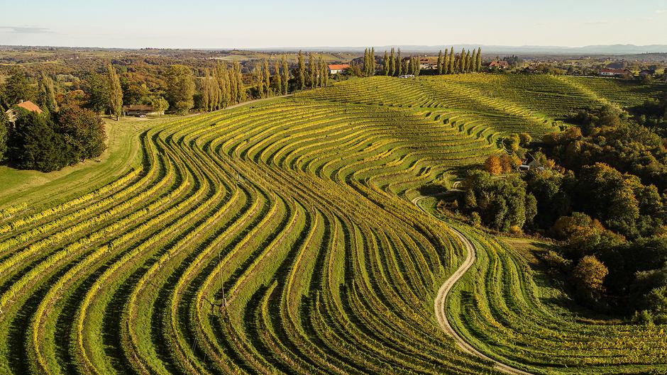 slovenija | Author: Press