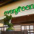 Evergreen - sushi experience