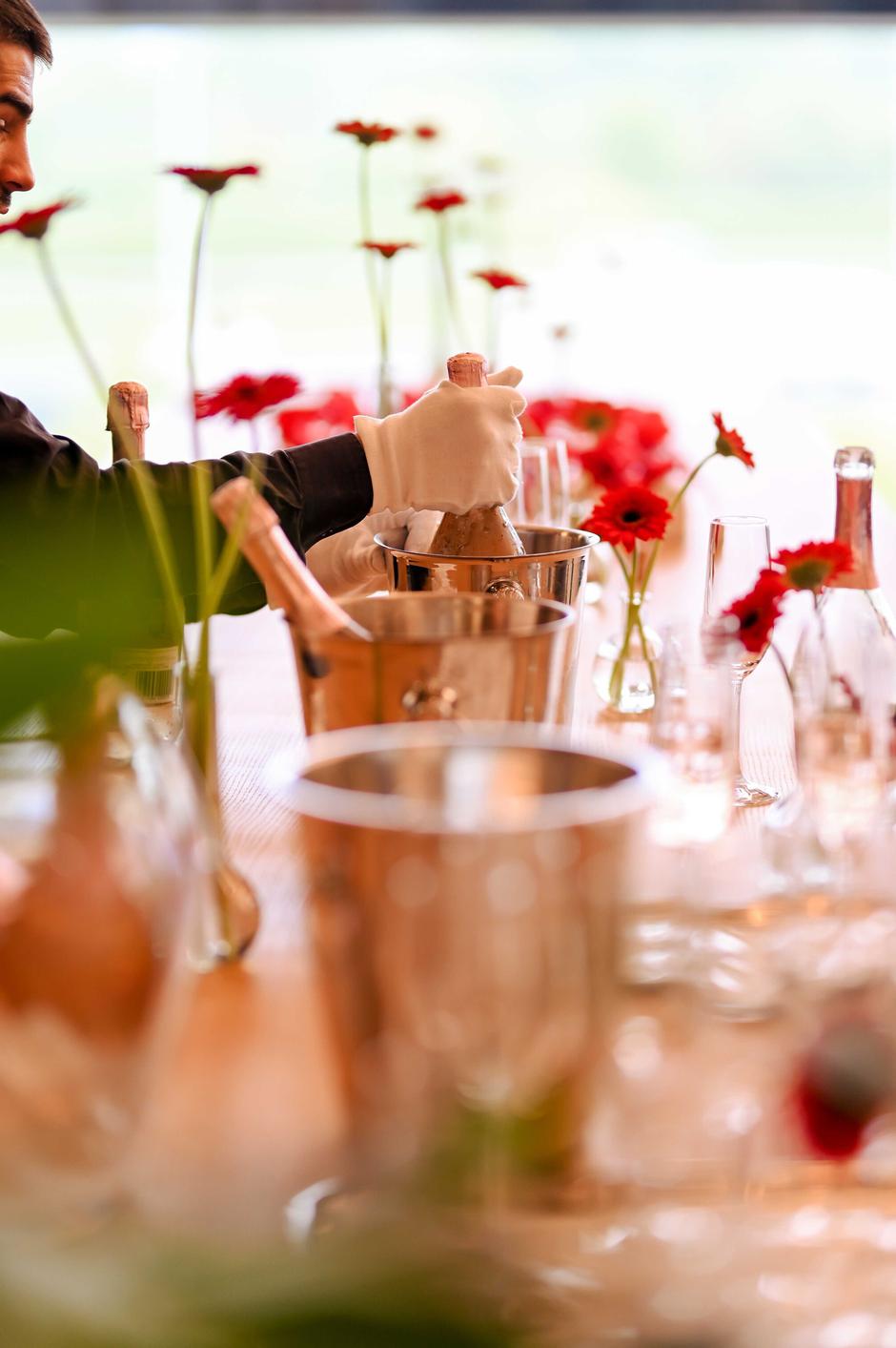  | Author: Arena Centar