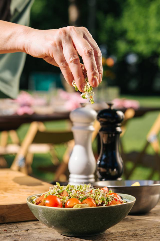 Ravlić, roštiljka, dimljena roštiljka-salata