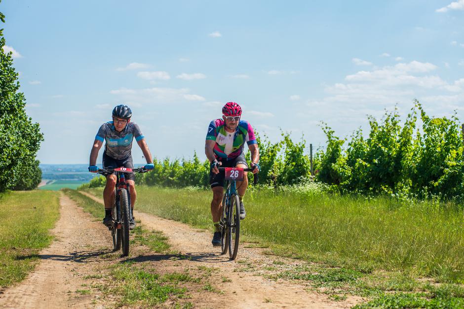 baranja brut | Author: TZ Baranje
