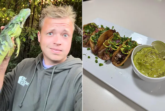 gray davis, tacosi od iguane