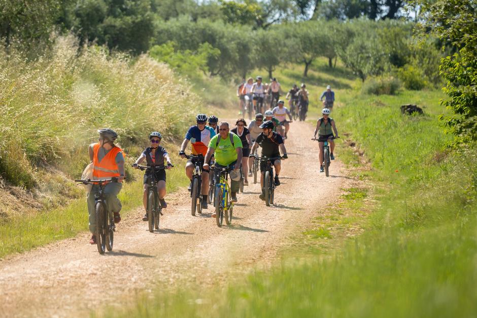 Gourm-E-bike Kaštelir-Labinci | Author: Manuel Paljuh