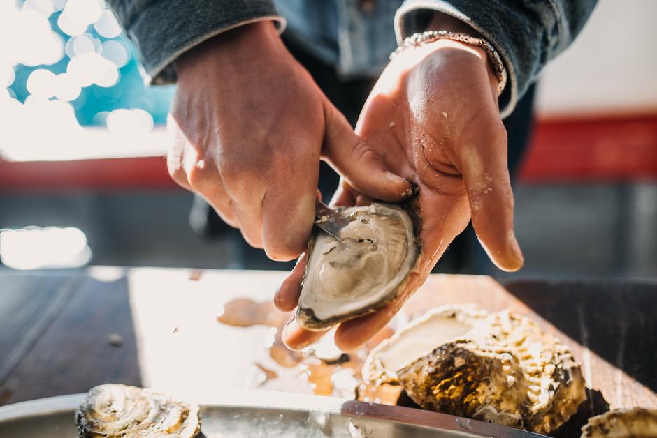 kamenice, bota šare | Author: Press